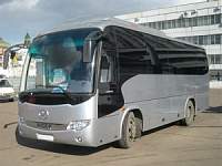 Мини-автобусы